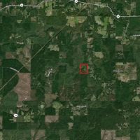LA - Ouachita 50 acres - images 4
