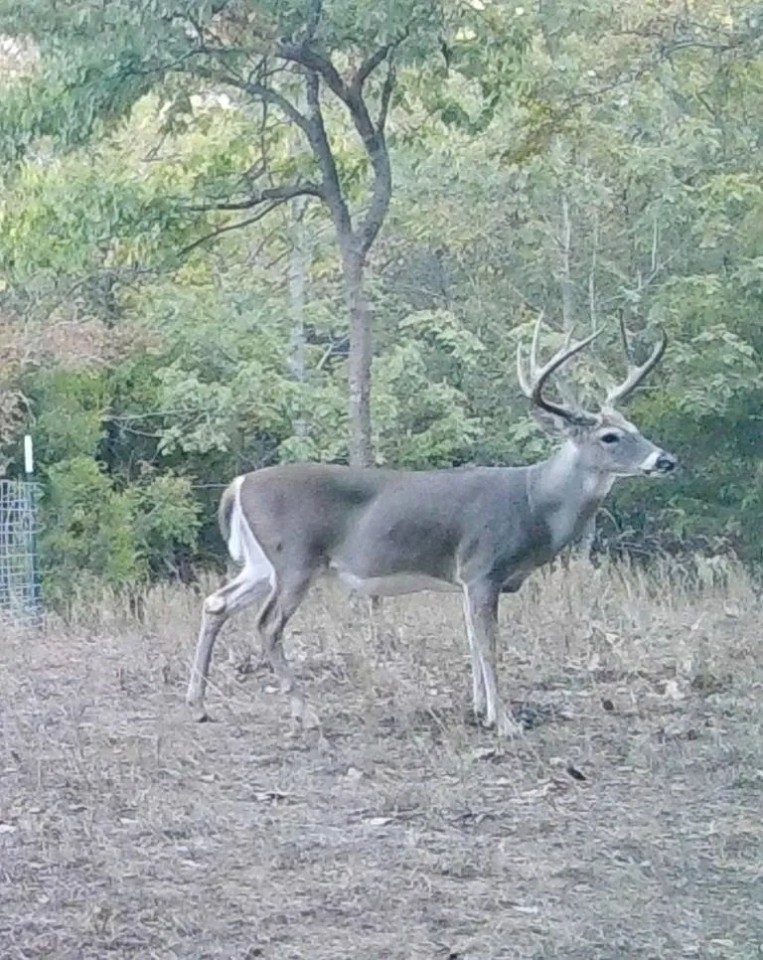 McGEE CREEK WEST HUNTING RESERVE featured image