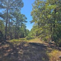 McGEE CREEK WEST HUNTING RESERVE images 2