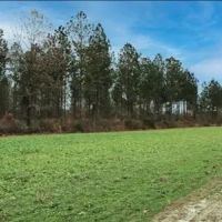 712 Acres with a Home in Lamar County in Lumberton MS images 2