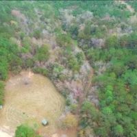 712 Acres with a Home in Lamar County in Lumberton MS images 5