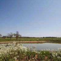 64.31 Acres in Milam County