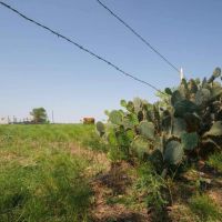 64.31 Acres in Milam County images 3