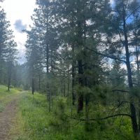 Antelope Mountain Property images 4