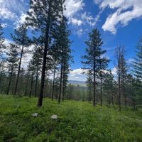 Antelope Mountain Property images 5