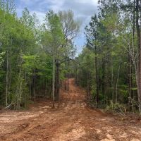 10 acre Lots Greensboro AL images 2