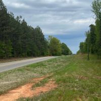 10 acre Lots Greensboro AL images 4