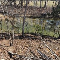 12 Mile Creek Homesite images 4
