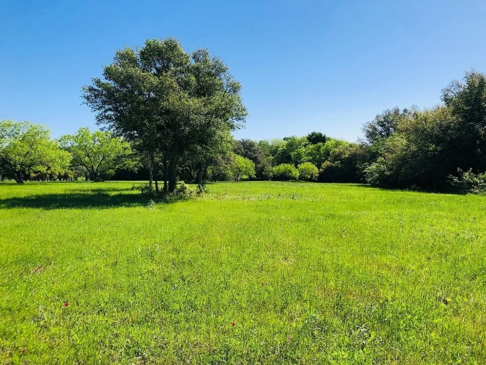 33 acres Scott Rd Weimar TX Colorado County featured image