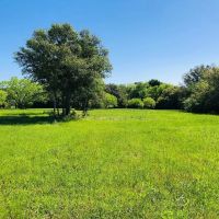 33 acres Scott Rd Weimar TX Colorado County