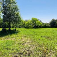 33 acres Scott Rd Weimar TX Colorado County images 2
