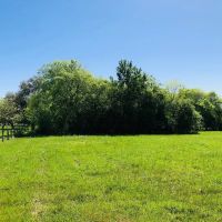 33 acres Scott Rd Weimar TX Colorado County images 3