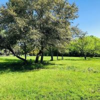 33 acres Scott Rd Weimar TX Colorado County images 4