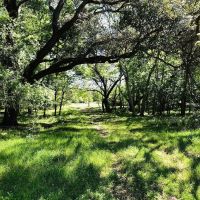 33 acres Scott Rd Weimar TX Colorado County images 5