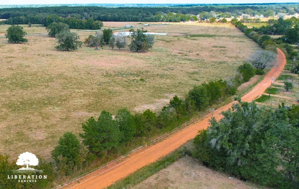 Crockett Tract 1 10 Acres Only 10K Down featured image