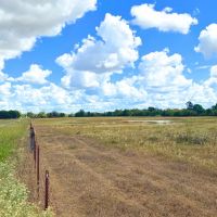 Crockett Tract 1 10 Acres Only 10K Down images 2