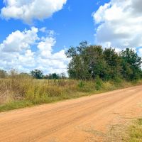 Crockett Tract 1 10 Acres Only 10K Down images 5