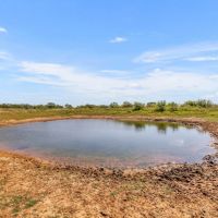 C4 Ranch- 289 Acres Atascosa County images 3