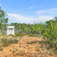 C4 Ranch- 289 Acres Atascosa County images 4