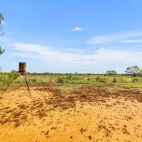 C4 Ranch- 289 Acres Atascosa County images 5