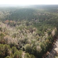 90 ACRES CLAIBORNE PARISH LOUISIANA images 2