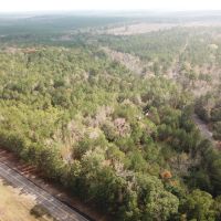 90 ACRES CLAIBORNE PARISH LOUISIANA images 3