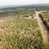 90 ACRES CLAIBORNE PARISH LOUISIANA images 4