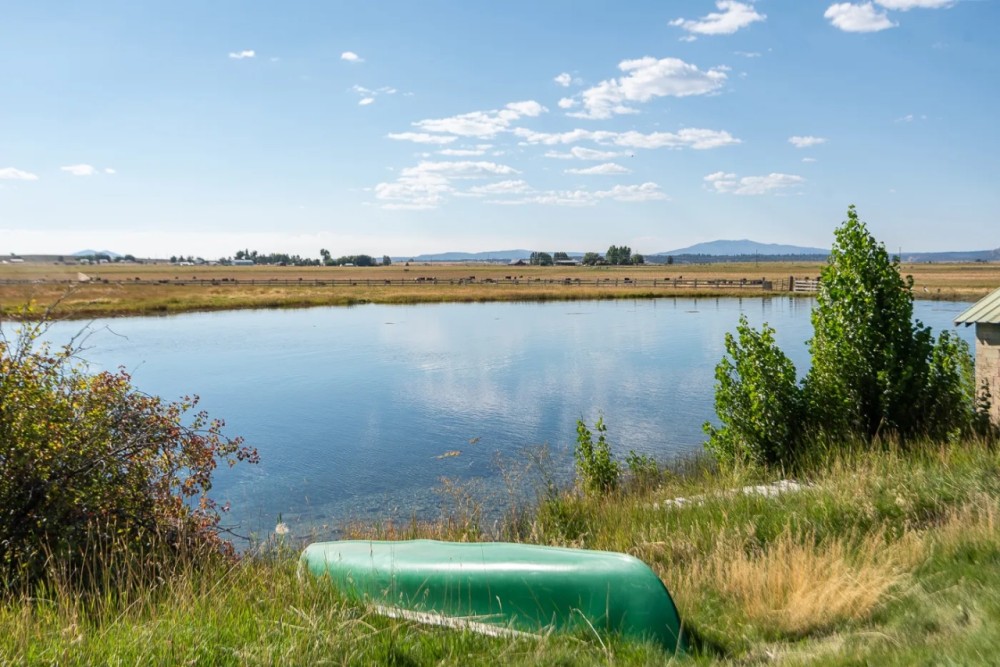 805 acres Spring Creek Ranch with 2 homes featured image