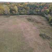 Buildable Hunting Parcel in Genesee County MI images 3