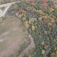 Buildable Hunting Parcel in Genesee County MI images 5
