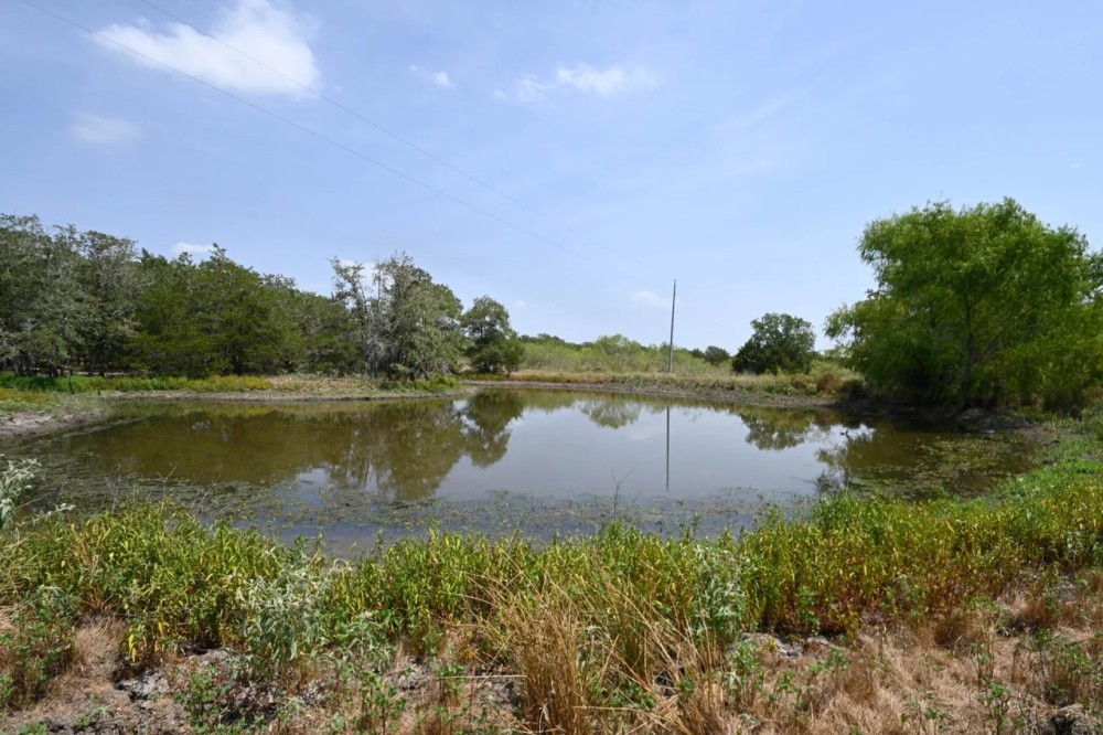 1345 Davis Rd Tr 2 featured image