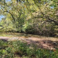 Butts County Home on 40 - acres images 4