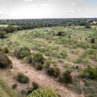 Pillar Bluff Creek 255 Acre Ranch images 3