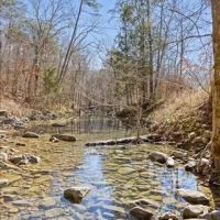 850 - Acres in North Georgia… A SPORTSMAN S PARADISE images 2