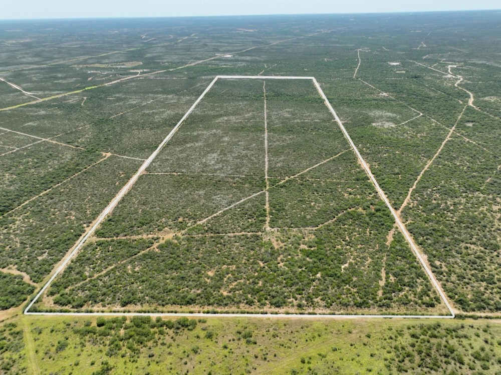Duval 208 Acres featured image