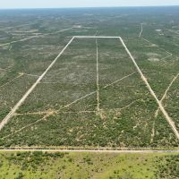 Duval 208 Acres