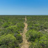 Duval 208 Acres images 2
