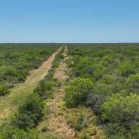 Duval 208 Acres images 3