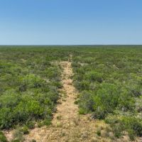 Duval 208 Acres images 4