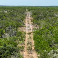 Duval 208 Acres images 5