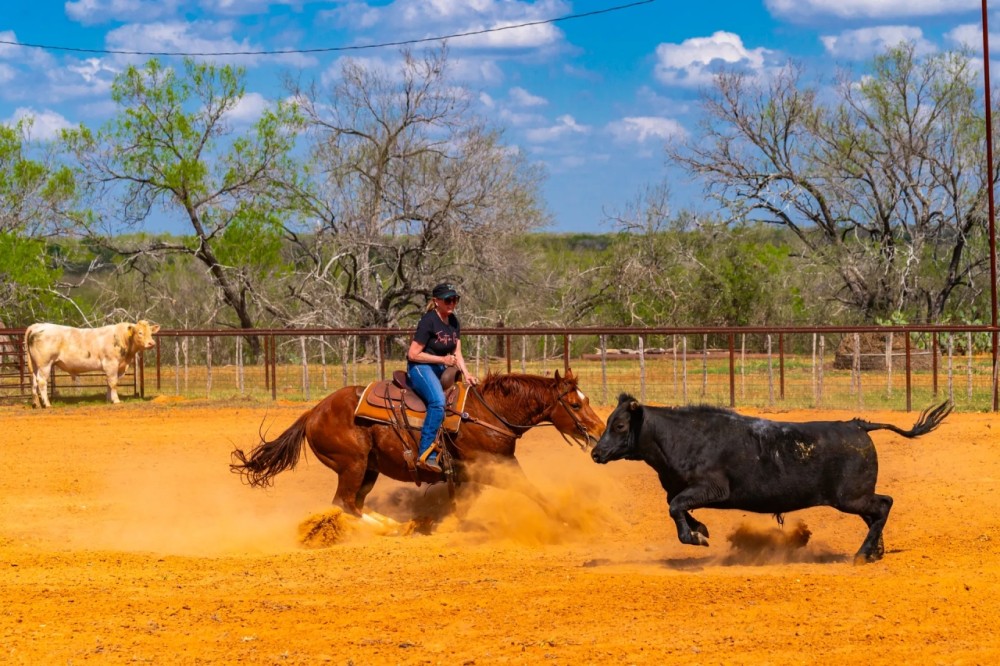 Chilipitin Creek Ranch featured image