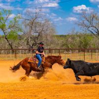Chilipitin Creek Ranch