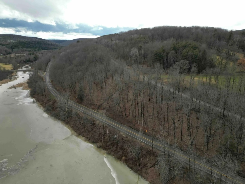 17 acres Wooded Hunting Land and Building Lot in Bath NY Harrison Road featured image