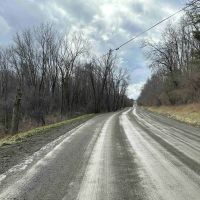 17 acres Wooded Hunting Land and Building Lot in Bath NY Harrison Road images 5