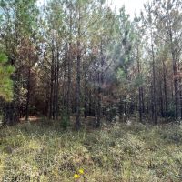 360 - ac Butler Co images 5