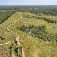 189 Acres CR 3725 images 3