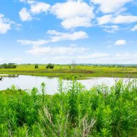 TBD CR 218 Unit 10 Hico Texas 76457 images 3