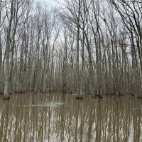 112 Acres in Holmes County MS images 2