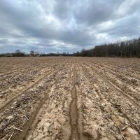 112 Acres in Holmes County MS images 4