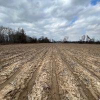 112 Acres in Holmes County MS images 5
